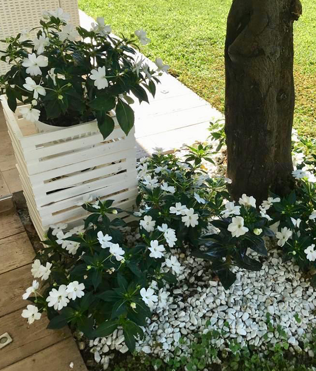 Giardino 6